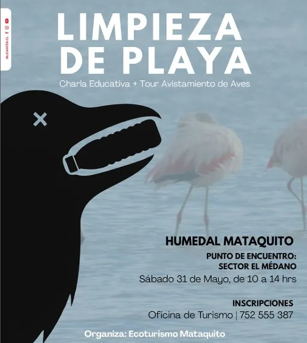 limpieza playa